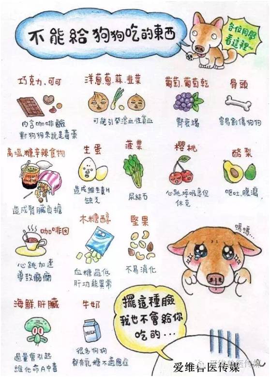 给你一本狗狗能吃的水果食谱♥这样吃OK❗️｜宠爱知识-7.jpeg