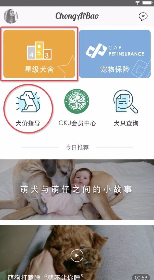 打造中国犬舍米其林，还能指导犬只价格！宠爱堡重磅推出星级犬舍系统&宠物犬价格指导系统-15.jpeg