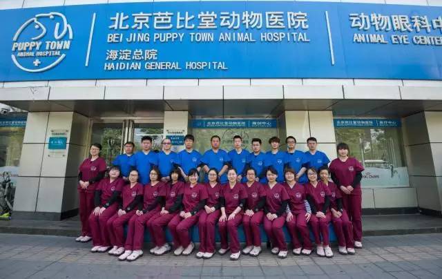 宠爱堡联合平安保险｜为CKU犬只健康保驾护航-11.jpeg
