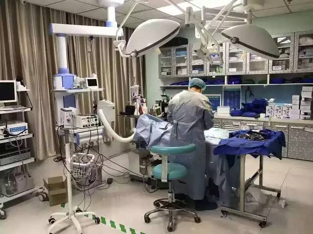 宠爱堡联合平安保险｜为CKU犬只健康保驾护航-15.jpeg