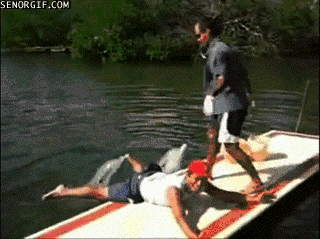 狗中老司机 X天X地X空气-12.gif