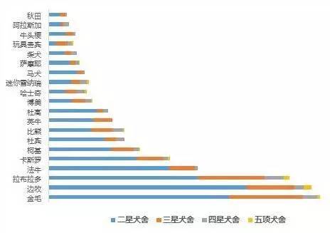 首批五星犬舍名单出炉｜揭秘宠爱堡星级犬舍系统大数据-11.jpeg