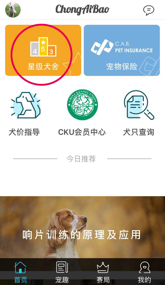 【通知】星级犬舍名片地址修改说明-1.jpeg