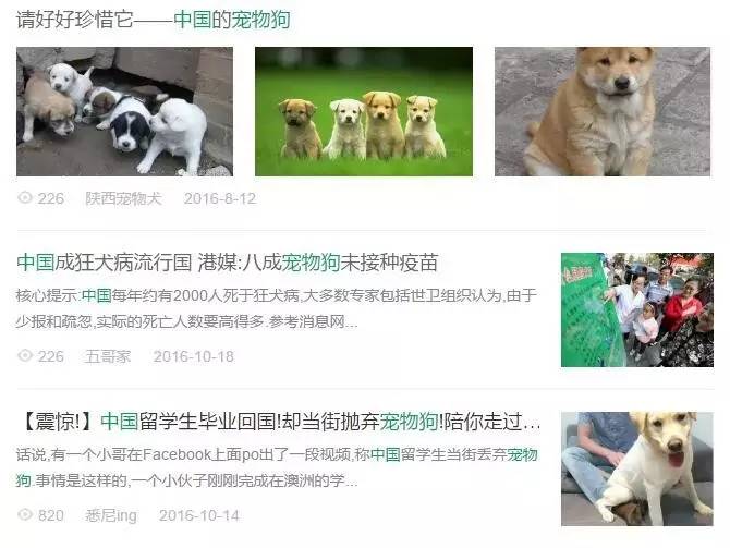 史无前例的星级犬舍评级凭啥诞生在中国？｜宠爱视角-1.jpeg