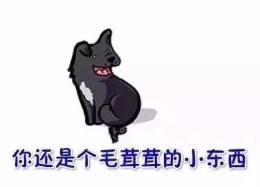 看到这幅画，是否想起了你曾经的汪-2.jpeg