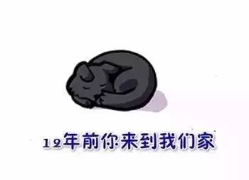 看到这幅画，是否想起了你曾经的汪-1.jpeg