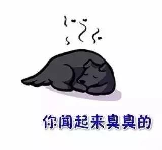 看到这幅画，是否想起了你曾经的汪-6.jpeg