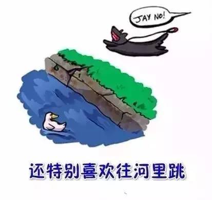 看到这幅画，是否想起了你曾经的汪-13.jpeg