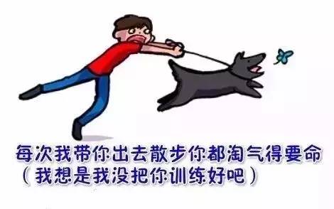 看到这幅画，是否想起了你曾经的汪-9.jpeg