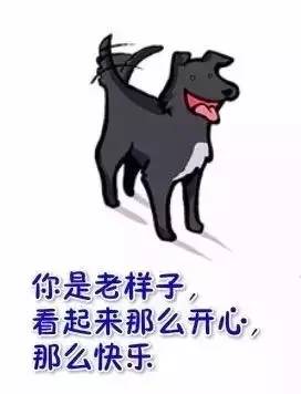 看到这幅画，是否想起了你曾经的汪-17.jpeg