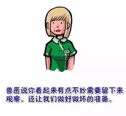 看到这幅画，是否想起了你曾经的汪-19.jpeg