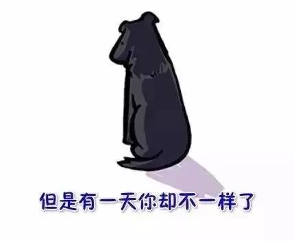 看到这幅画，是否想起了你曾经的汪-20.jpeg