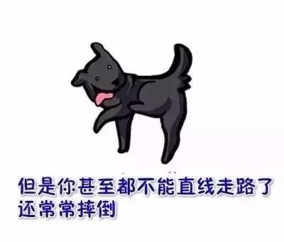 看到这幅画，是否想起了你曾经的汪-18.jpeg