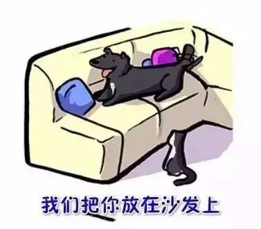 看到这幅画，是否想起了你曾经的汪-28.jpeg