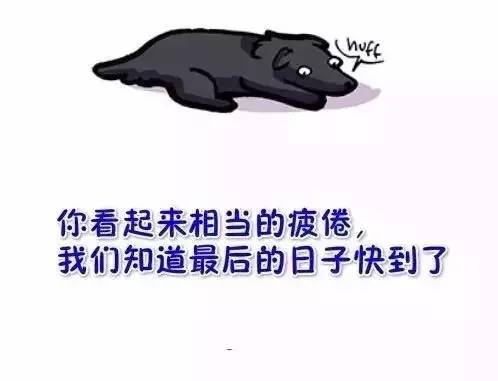看到这幅画，是否想起了你曾经的汪-29.jpeg