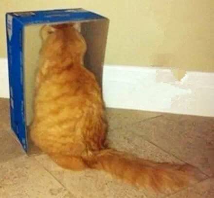 我是一只狗，我被猫睡过！-4.jpeg