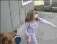 狗狗训练的十个秘密-3.gif