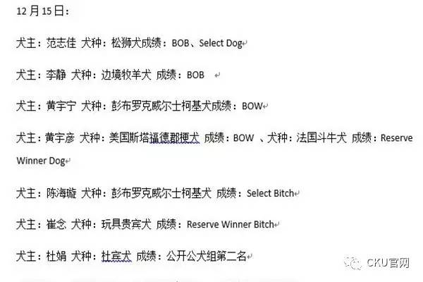 赛局 | AKC国家展落幕 CKU会员获佳绩-16.jpeg