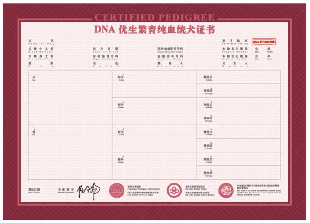 DNA血样存档及亲子比对实施计划-4.jpeg