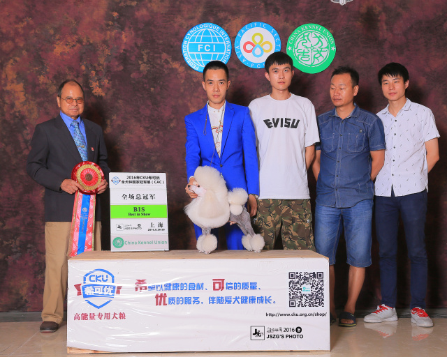 2016全犬种排行Top10-24.jpeg
