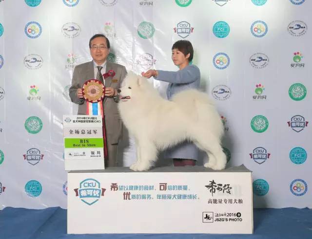 2016全犬种排行Top10-40.jpeg