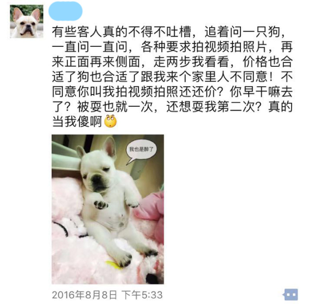 卖狗也挑人？这话没毛病。-6.jpeg