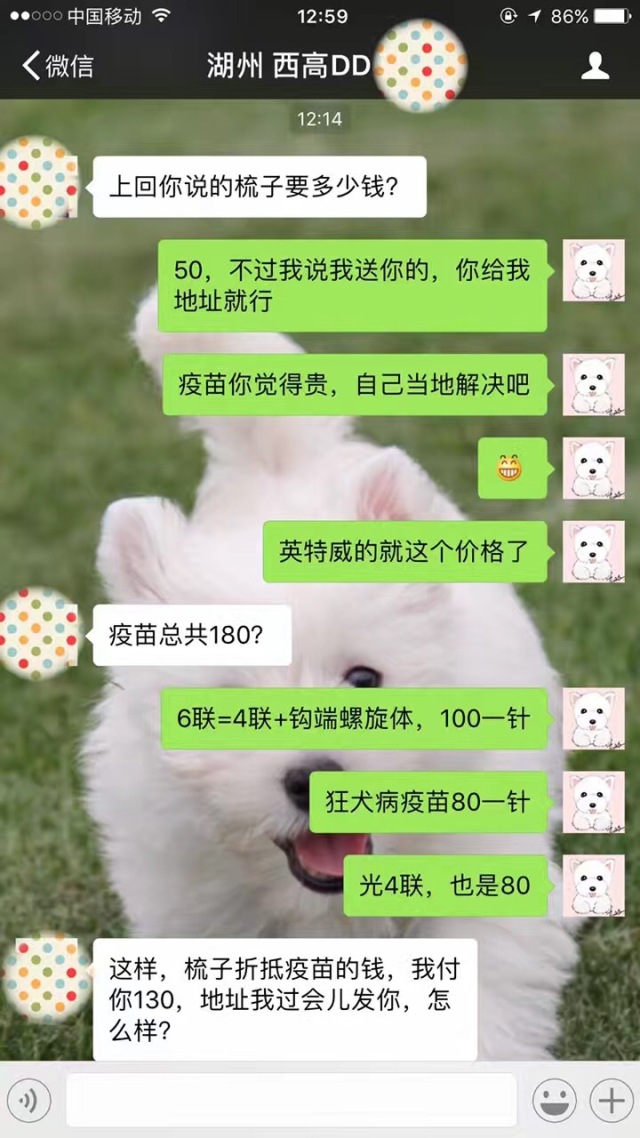 卖狗也挑人？这话没毛病。-9.jpeg