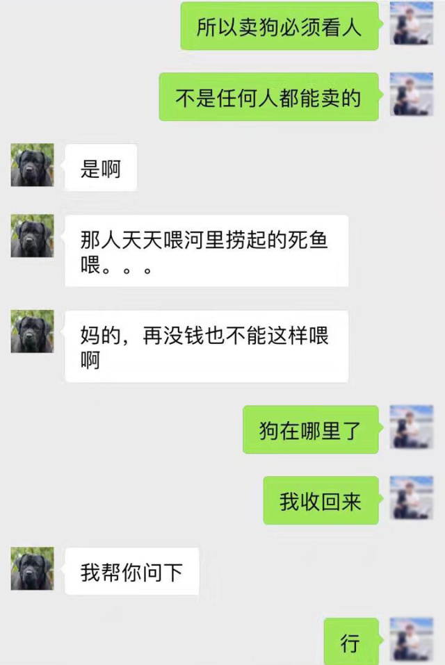 卖狗也挑人？这话没毛病。-12.jpeg