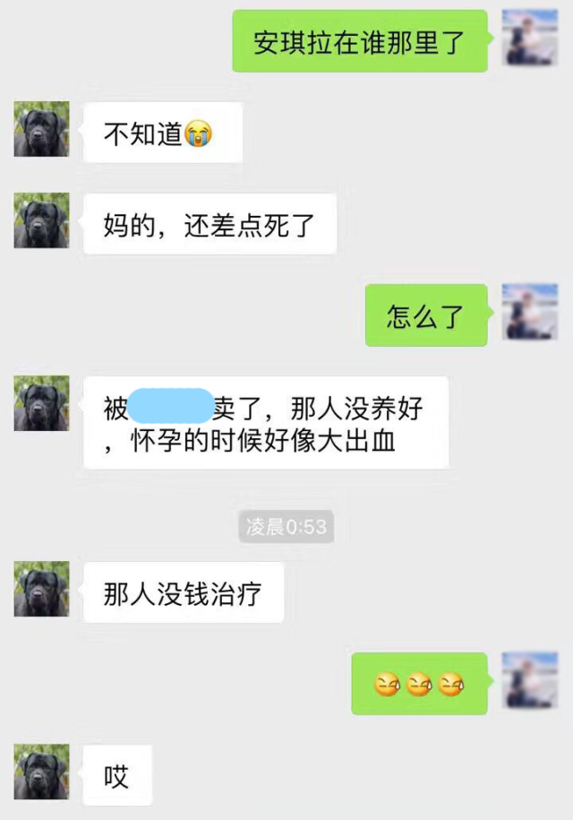 卖狗也挑人？这话没毛病。-11.jpeg