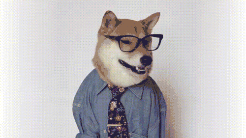 来真格的，犬舍也要有门槛了-3.gif