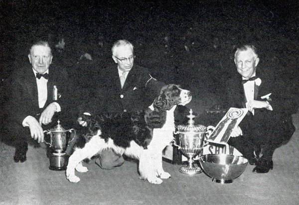 深扒 | 西敏寺裁判喜欢哪些犬种？-7.jpeg