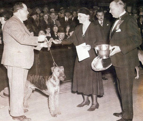 深扒 | 西敏寺裁判喜欢哪些犬种？-9.jpeg