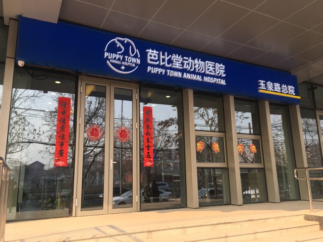 边牧宝宝被压断脚趾，宠爱保直接赔了407-3.jpeg