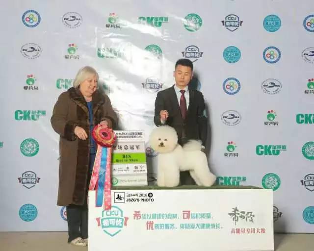 独家 | 比熊犬优质犬舍名单-4.jpeg
