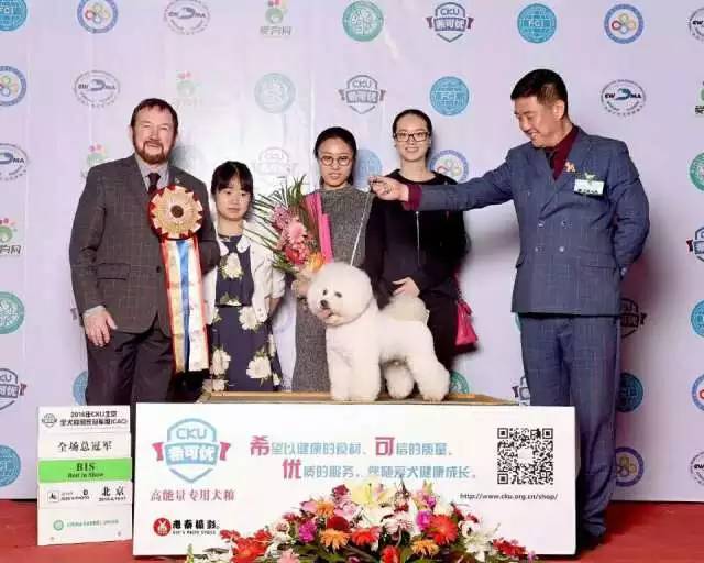 独家 | 比熊犬优质犬舍名单-8.jpeg