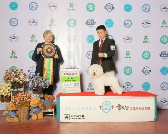 独家 | 比熊犬优质犬舍名单-5.jpeg