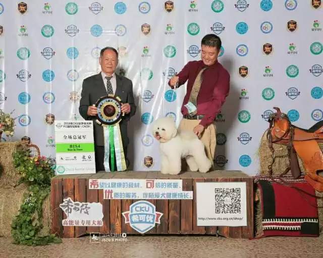 独家 | 比熊犬优质犬舍名单-10.jpeg