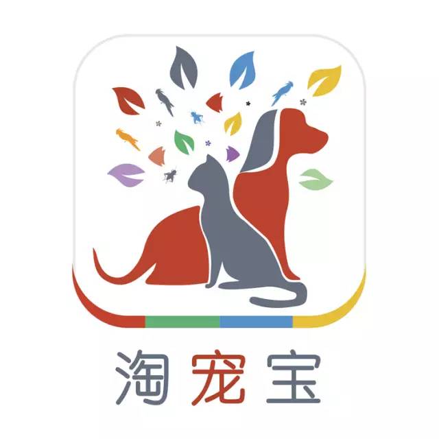 分不清柴犬和土狗的人，就是因为没见过好狗啊-6.jpeg