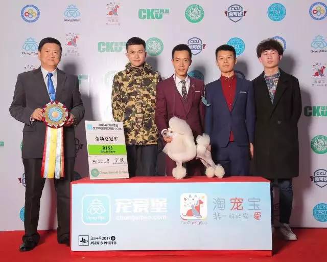 独家 | 贵宾犬优质犬舍名单-3.jpeg
