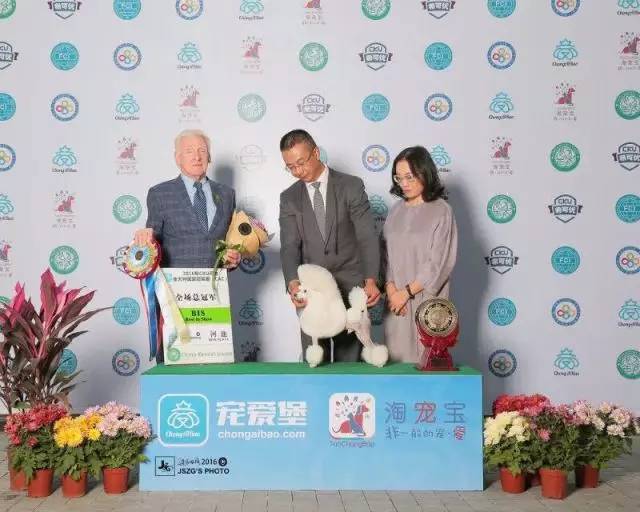 独家 | 贵宾犬优质犬舍名单-6.jpeg