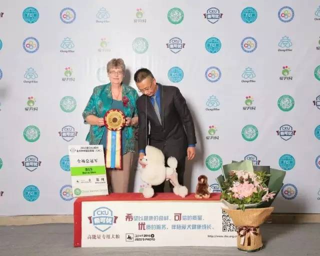 独家 | 贵宾犬优质犬舍名单-7.jpeg