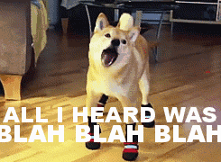 刷三观…CKU血统证书的真相-7.gif