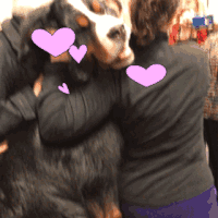 直女写给表哥的一封信-5.gif
