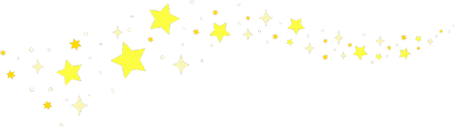 五星的魅力 | 专注繁殖拉布拉多15年-3.png
