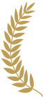 五星的魅力 | 专注繁殖拉布拉多15年-7.png