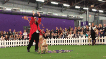 好狗难求，20句走心的话帮到你！-7.gif