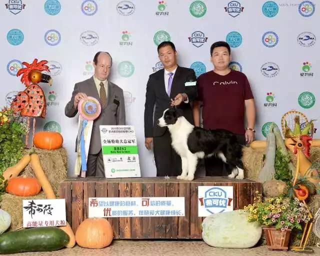 五星的魅力 | 用比赛扩大宣传-5.jpeg