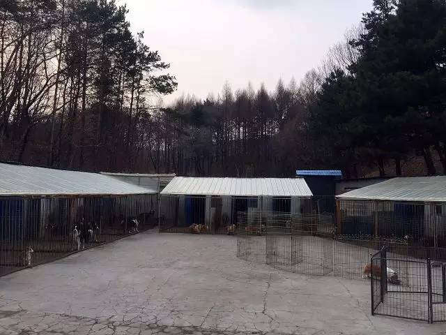 五星的魅力 | 用比赛扩大宣传-7.jpeg