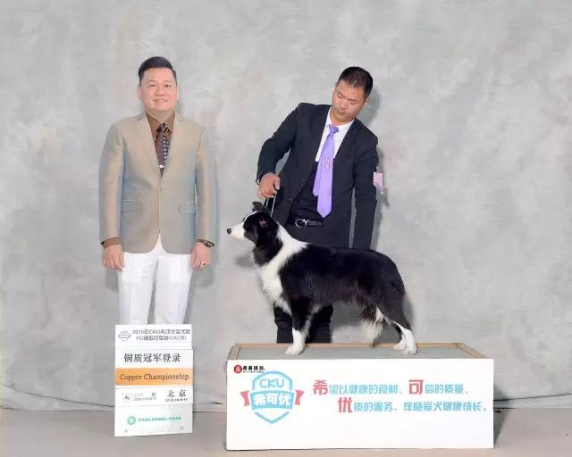 五星的魅力 | 用比赛扩大宣传-12.jpeg