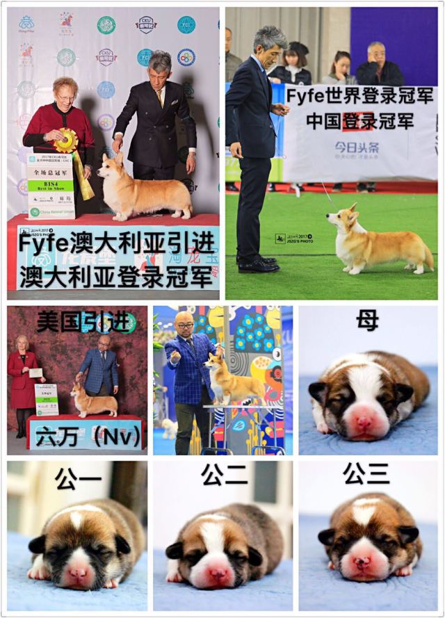 五星的魅力 | 用比赛扩大宣传-17.jpeg